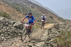 066c0256-b51f-438d-a286-cc2963f477b0